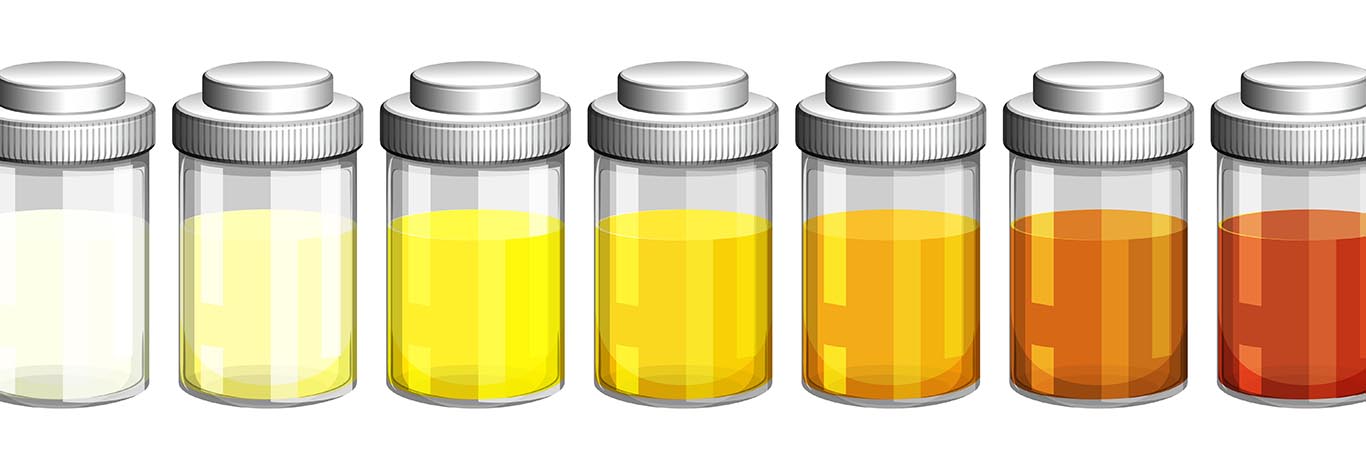 What Urine Tells About Your Health Happiest Health