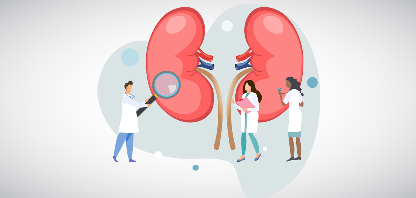 Chronic Kidney: Treatment, Causes, Diagnosis, Treatment | Happiest Health