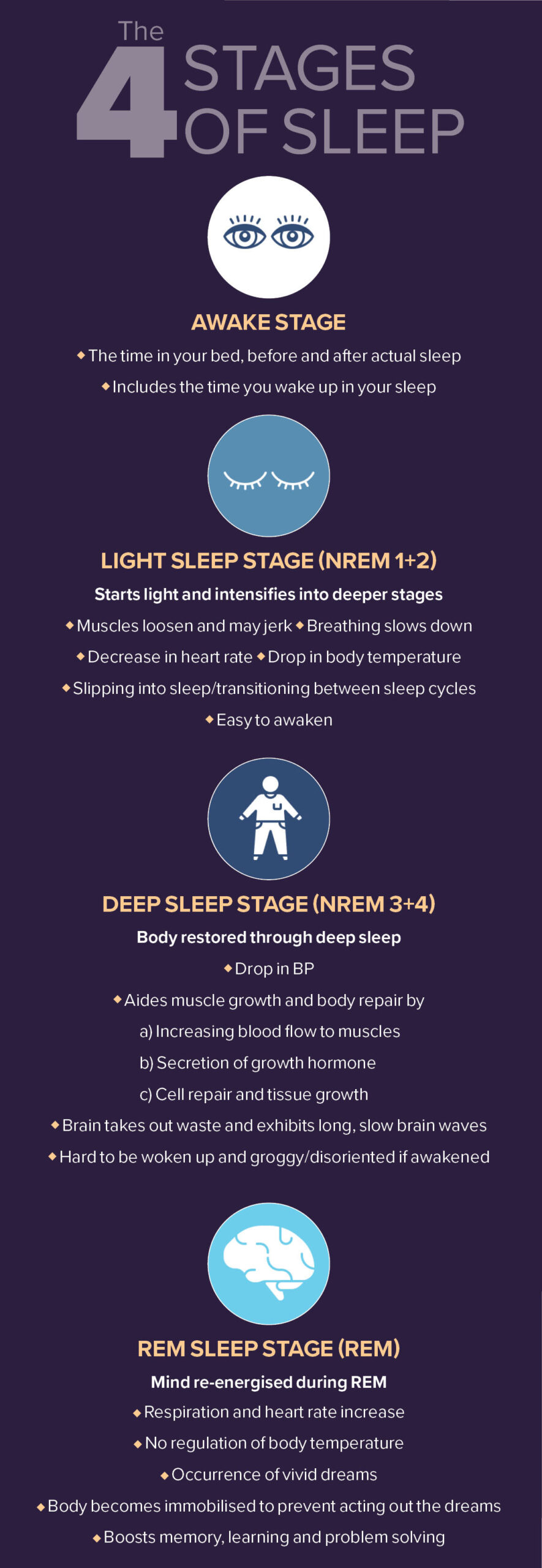 Stages of sleep cycle