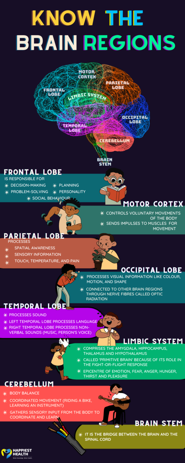 Know the brain regions | Happiest Health