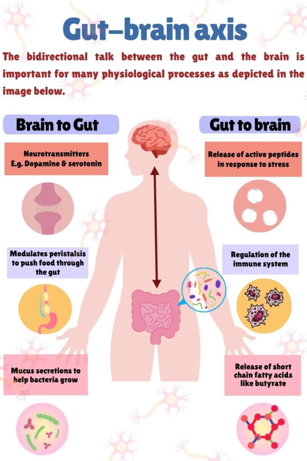 Deciphering The Gut-brain Axis | Happiest Health