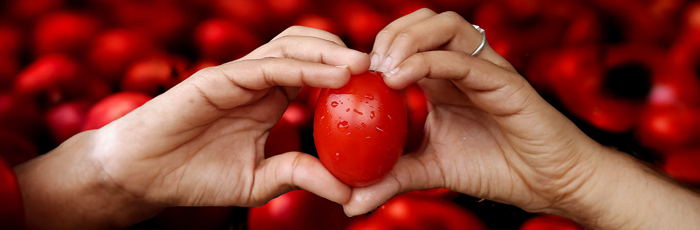 health-benefits-of-tomatoes-the-humble-superfood-for-your-heart