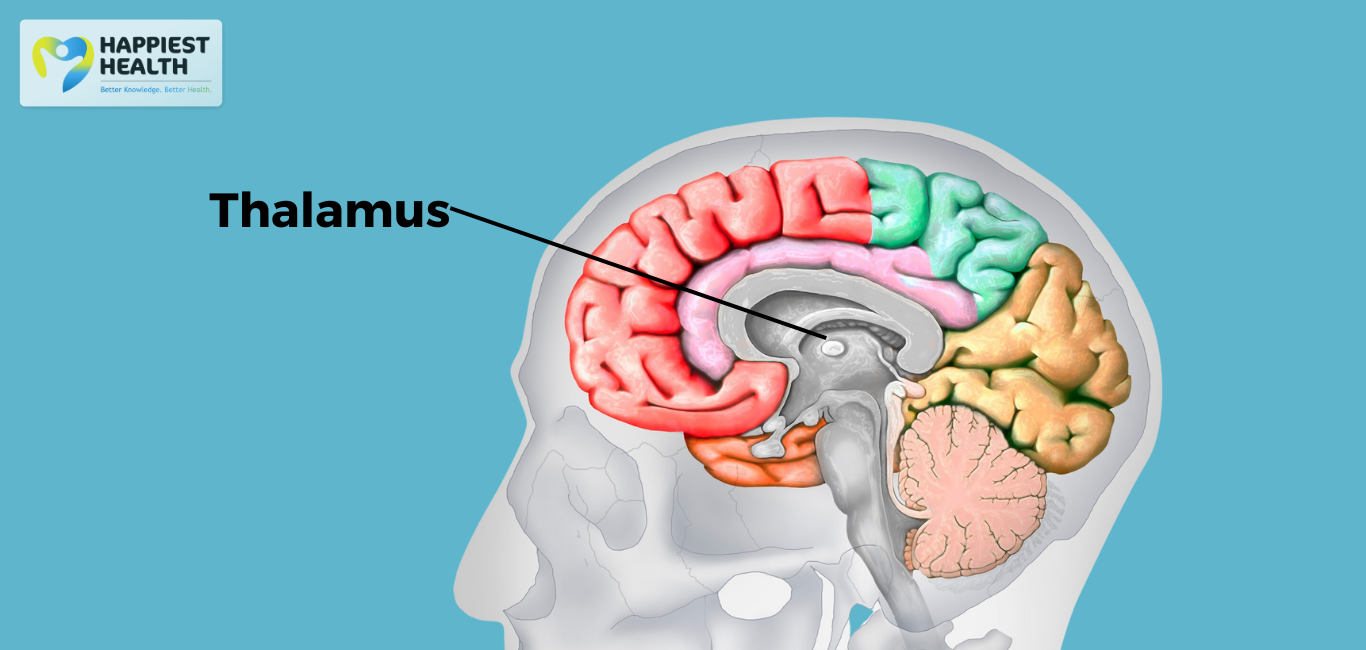 In strokes, the damage depends on the brain regions - Happiest Health