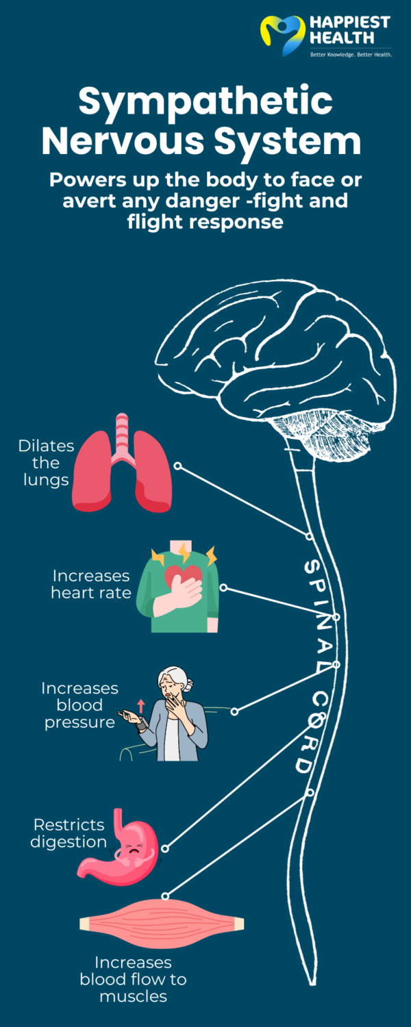 sympathetic-nervous-system-a-guide-to-fight-or-flight-response