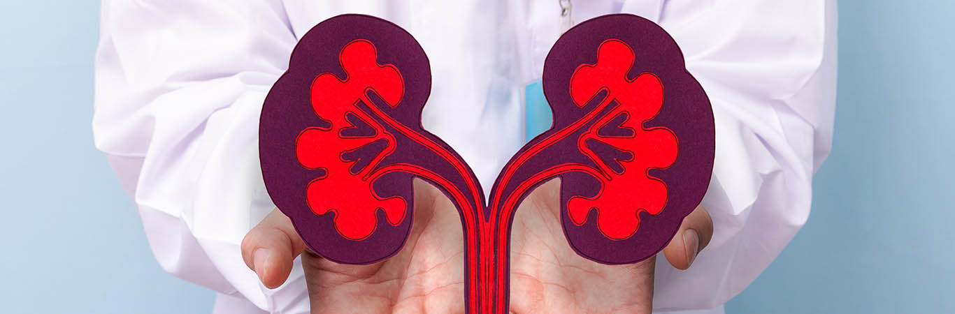 renal-cell-carcinoma-a-tumour-in-kidney-happiest-health