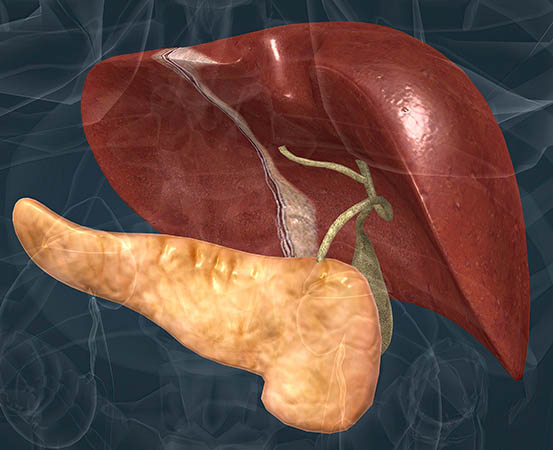 Cholangitis: When obstructed bile ducts bring misery - Happiest Health