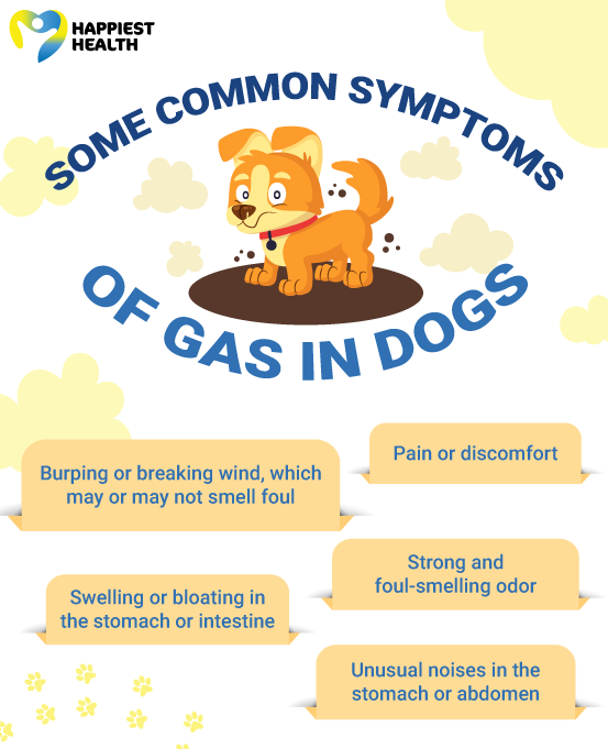 What can i give my dog fashion for gas pain